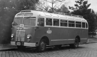 Ikarus 30