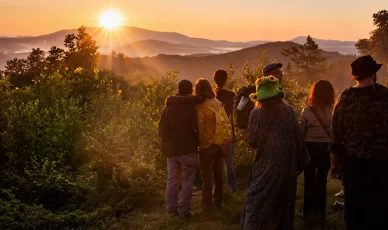 Droga na festiwal Las Festival