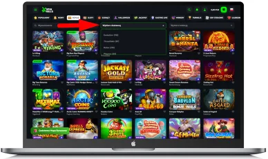 Dostawcy gry w casino online SpinMills Dostawcy gry w kasynie