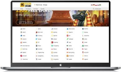 Dostawcy gier w Pelican Casino Dostawcy gier w kasynie