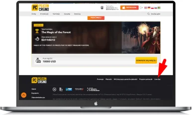 Pelican Casino — wsparcie klienta Wsparcie klienta