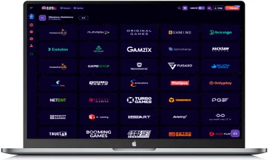 Dostawcy gry w SlotsDJ