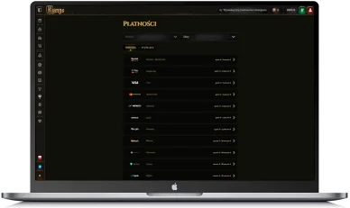 Metody płatności w kasynie Płatności w kasynie online Kyngs