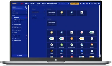 Płatności w kasynie Sapphirebet