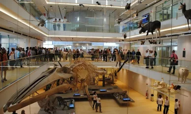 MUSE – Museo delle Scienze di Trento Museo delle Scienze di Trento