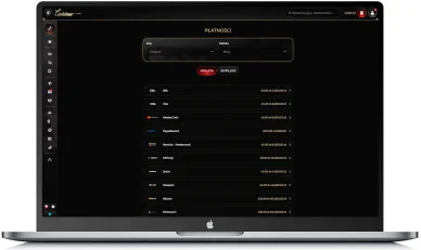 Metody płatności w Casina online 