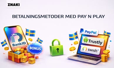 Betalningsmetoder med Pay N Play med ZnakiFM:s logga