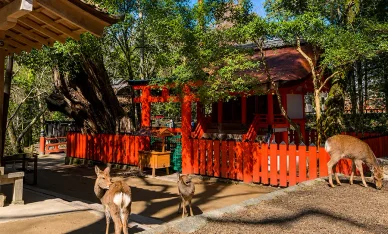 別宮・摂社・末社 水谷神社