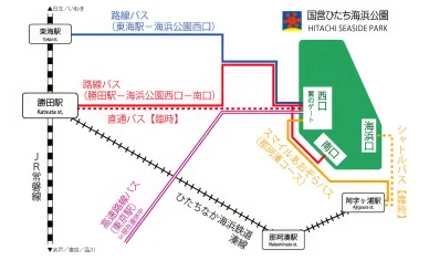 電車とバスでのアクセス方法