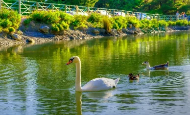 Λίμνη Μπελέτσι 