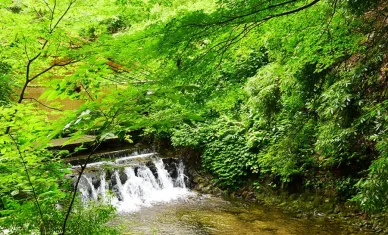 貴船の杜(きぶねのもり) きぶねのもり