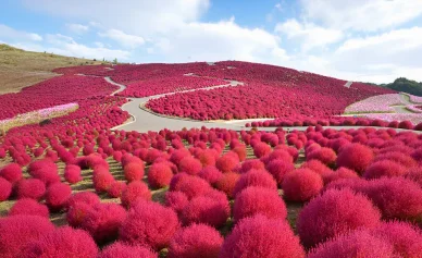 みはらしエリア