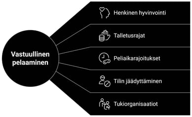 Vastuullinen pelaaminen 20 euron talletus casino
