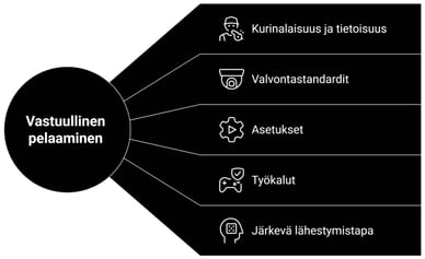 Vastuullinen pelaaminen