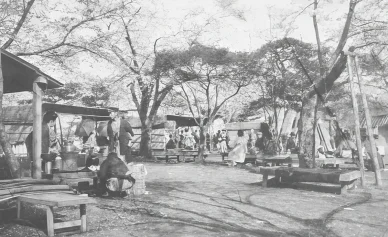 公園の歴史 明治時代のアスカヤマ公園