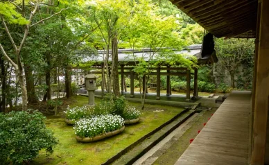歴史 歴史 龍安寺