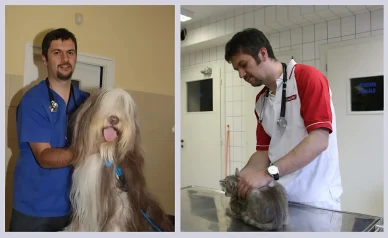 Akos Hadhazi saját állatorvosi rendelővel rendelkezik Hadházy Ákos állatorvos