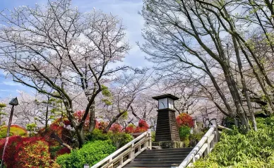 公園の概要 公園の概要飛鳥山公園