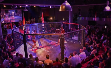 MMA im Grand Basel Casino