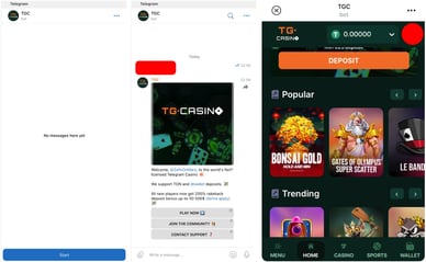 TG casino telegram