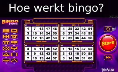 hoe werkt bingo