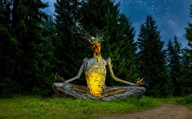 Ciekawostki o Las Festival w Polsce