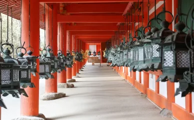 春日大社の興味深いお話 寺院にまつわる興味深いエピソード