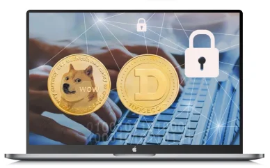 ドージコイン対応オンラインカジノの安全性