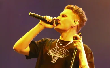 Dyskografia Davida Podsiadło Dyskografia