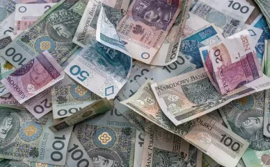 Zlotý Polský Polský zlotý
