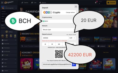 beste bitcoin cash casino online