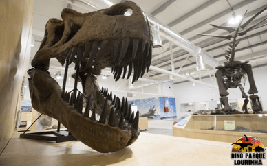 Modelos de dinossauros em tamanho real – a principal atração do Dino Parque Lourinhã
