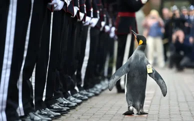 Curiosità sulla Norvegia