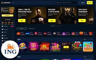 beste online casino ing