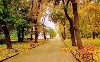 Парк Шевченка у Тернополі