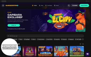 casino holandia online