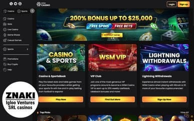 Igloo Ventures goksite