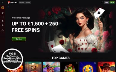 fgs software solutions s.r.l casino site