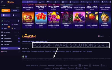 fgs software solutions casino