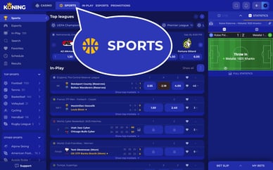 bookmaker online