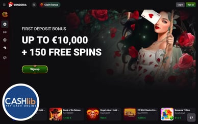 beste casino met cashlib