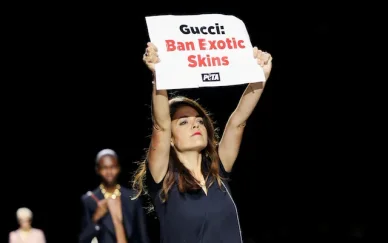 Attivisti PETA protestano alle sfilate di Gucci