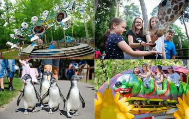 Debreceni Állatkert és Vidámpark Debreceni Állatkert