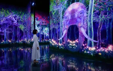 美術館の歴史 チームラボプラネッツ