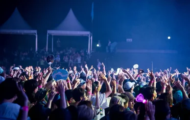 フェスの知っトク情報