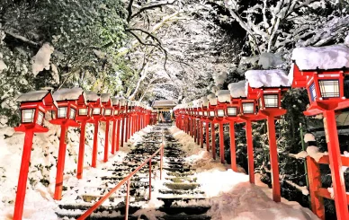 雪のライトアップ(冬) (冬)雪のライトアップ