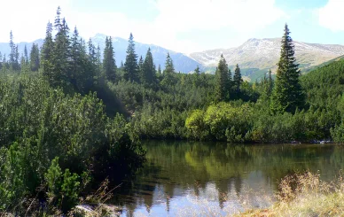 Flora Doliny Pięciu Stawów
