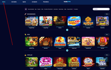 Glücksspiele im Wintari Casino