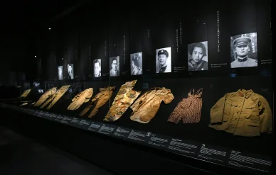 博物館での展示会とイベント