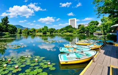 公園の概要 中島公園 — 情報
